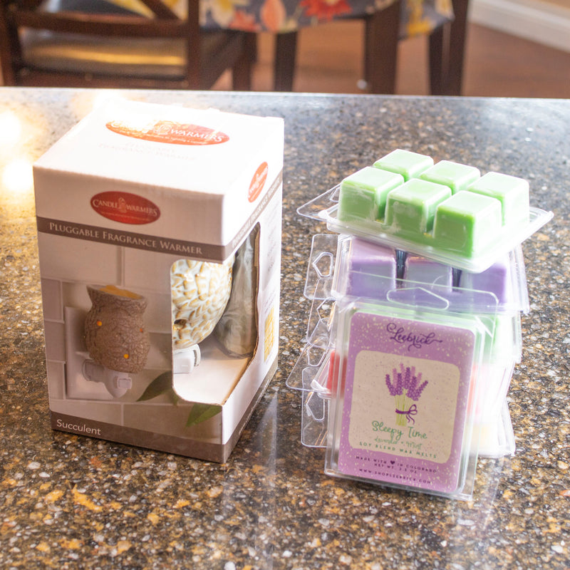 Succulent Pluggable Outlet Wax Melter + 3 wax melts - Limited Edition