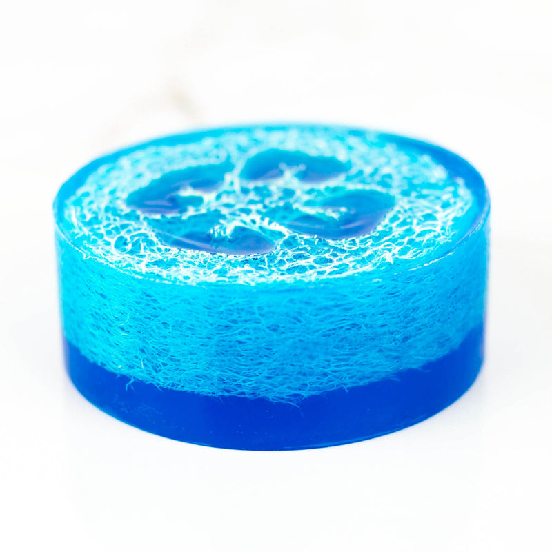 Blue Luffa Soap