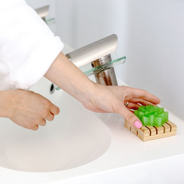 Lush Succulent Soap